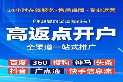 百度竞价SEM案例：揭秘高效广告投放技巧